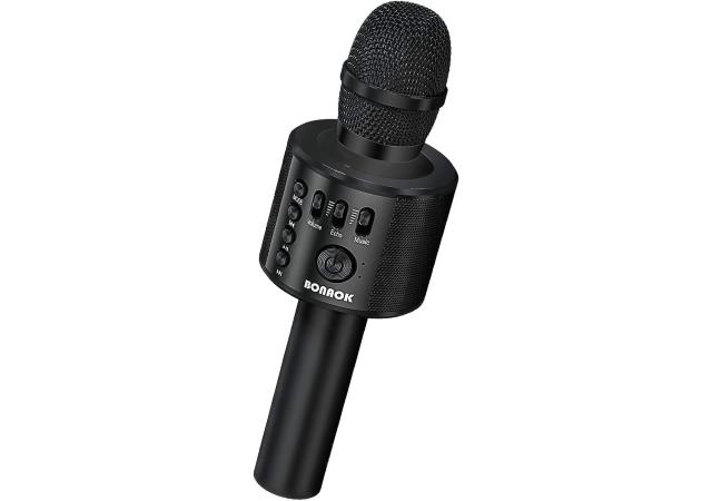 Bonaok Wireless Bluetooth Karaoke Microphone, Speaker, MP3 Player, Recorder